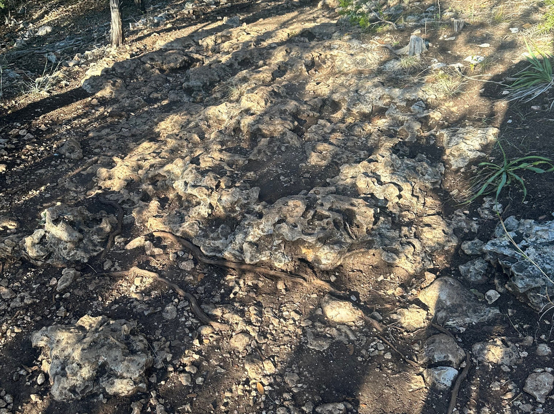 San Gabriel River-Georgetown必去景点