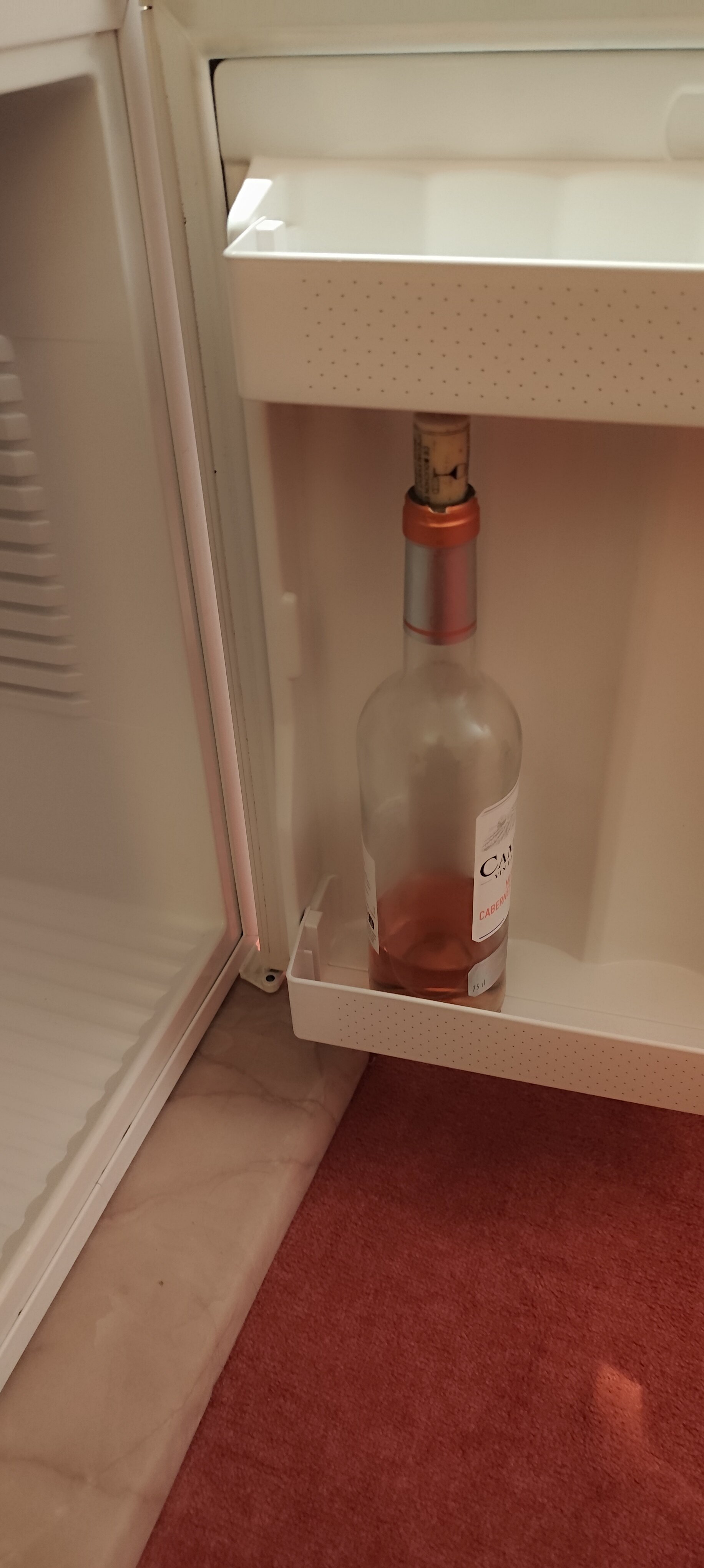 阿莱地宫殿酒店-客卧
