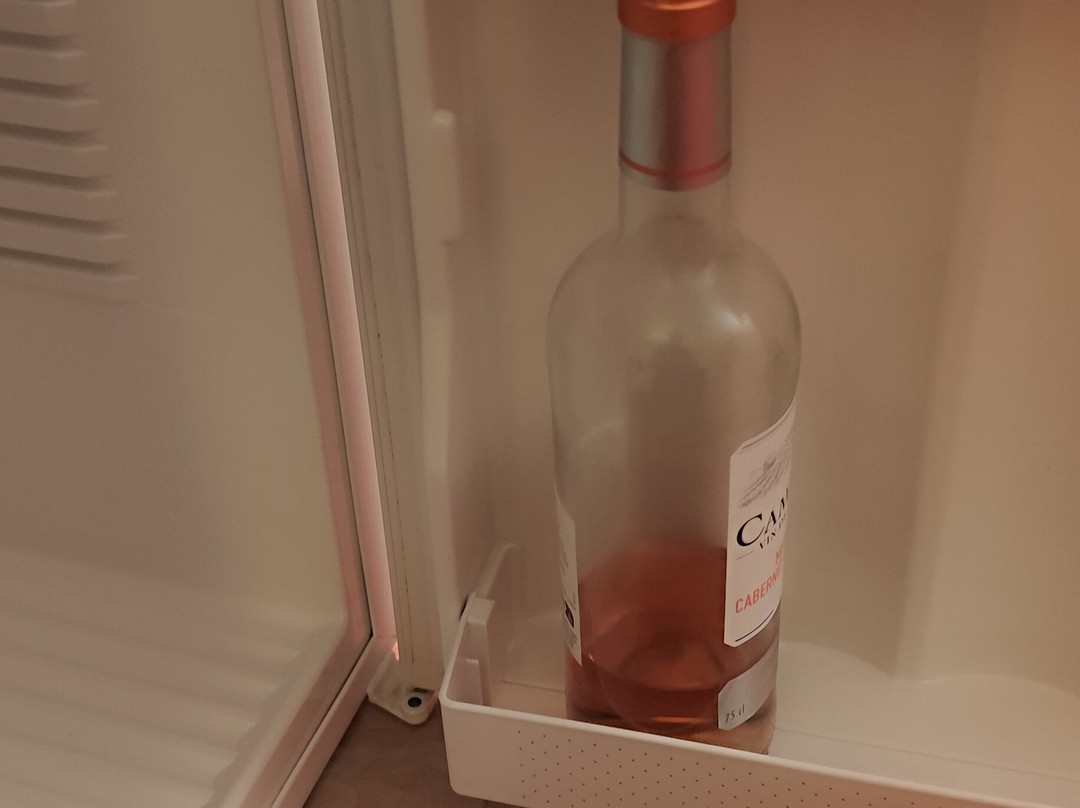 阿莱地宫殿酒店主图