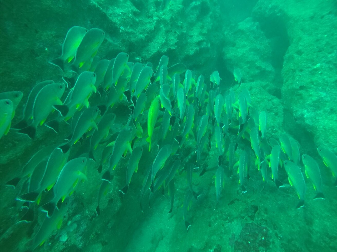 Paradise Dive Mirissa景点图片