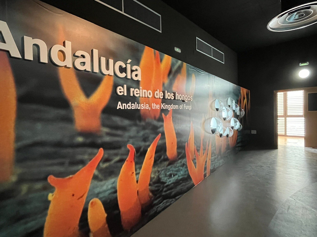 Jardín Micológico La Trufa景点图片
