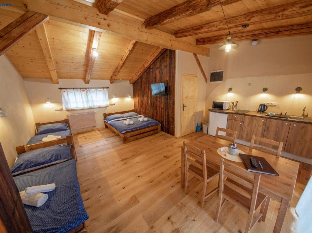 Apartment Ve Mlyne