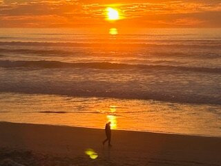 Surfside Resort主图