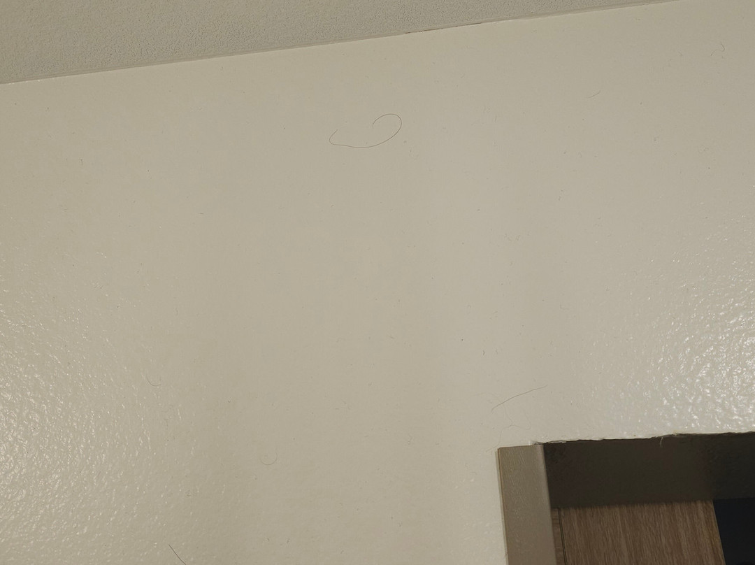 Hilton Garden Inn Longmont主图