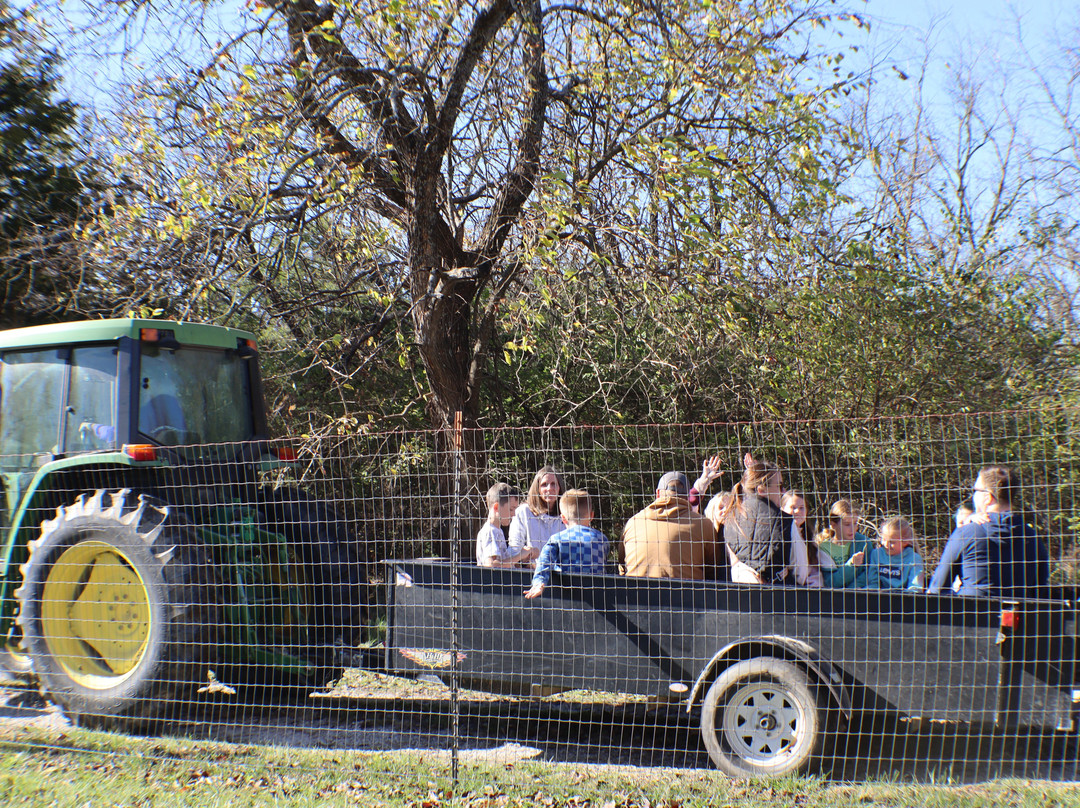 Manna Meadows Alpacas-Bonner Springs必去景点