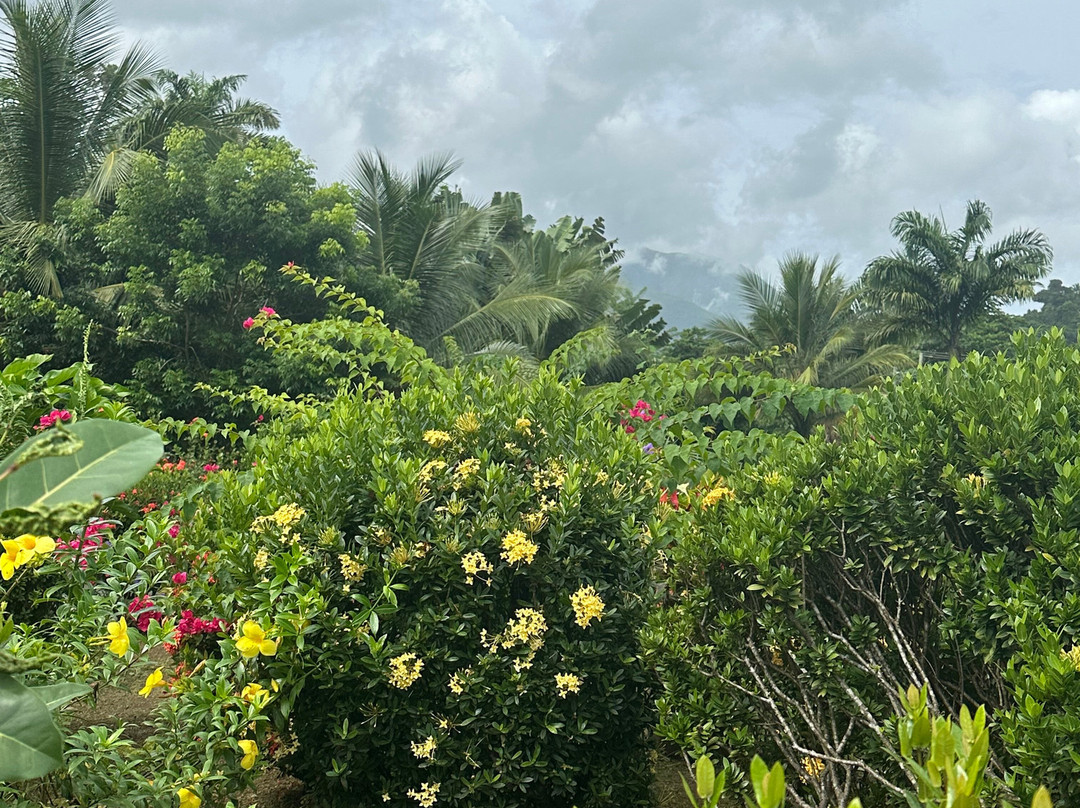 Rosalie Bay Eco Resort & Spa主图