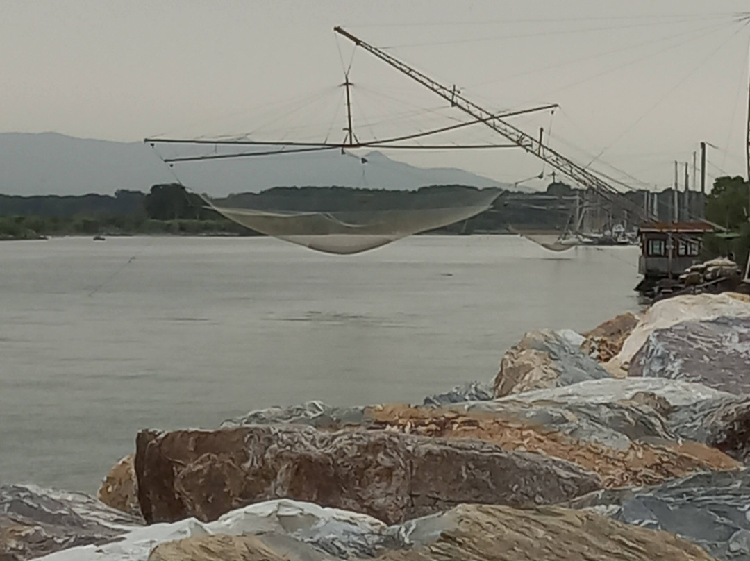 Porto di Pisa景点图片