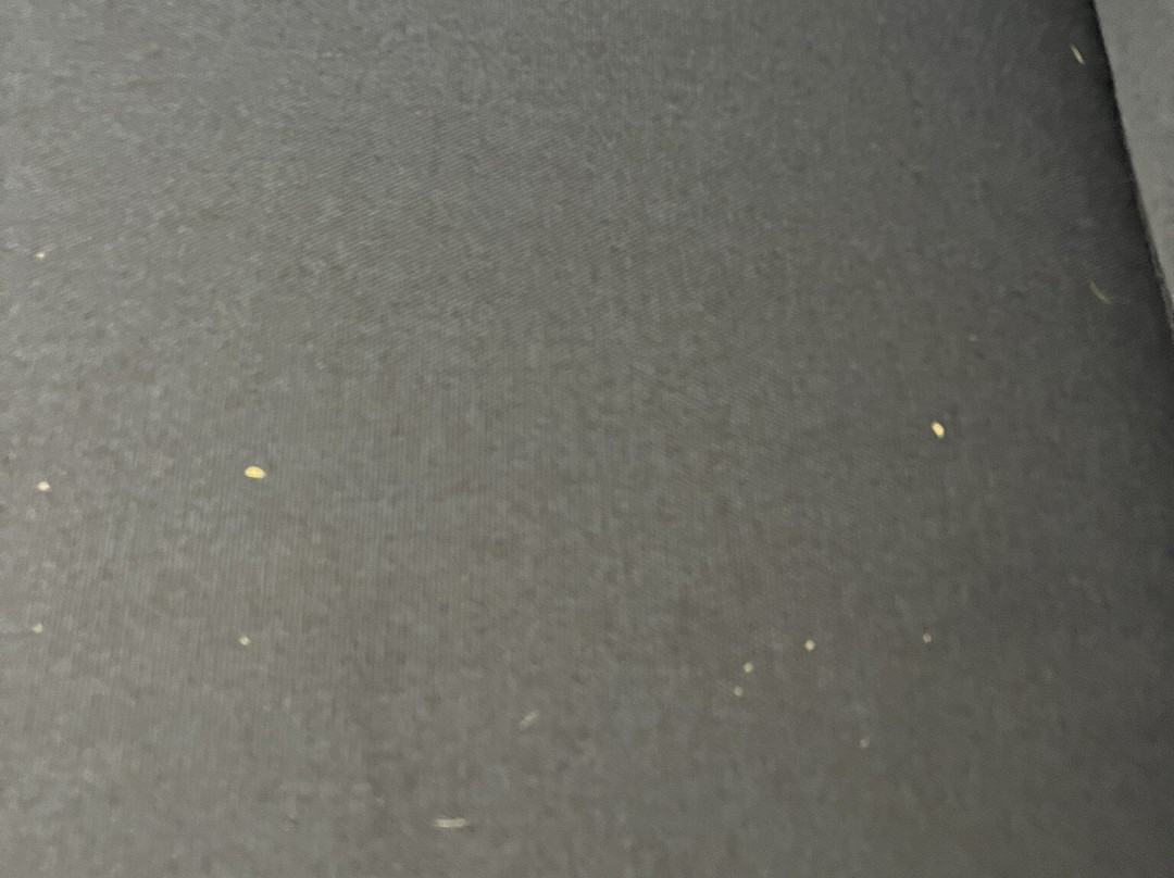 Holiday Inn Express Savannah S I95 - Richmond Hill By IHG主图