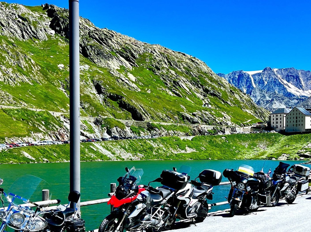 Elite Bike Tours景点图片