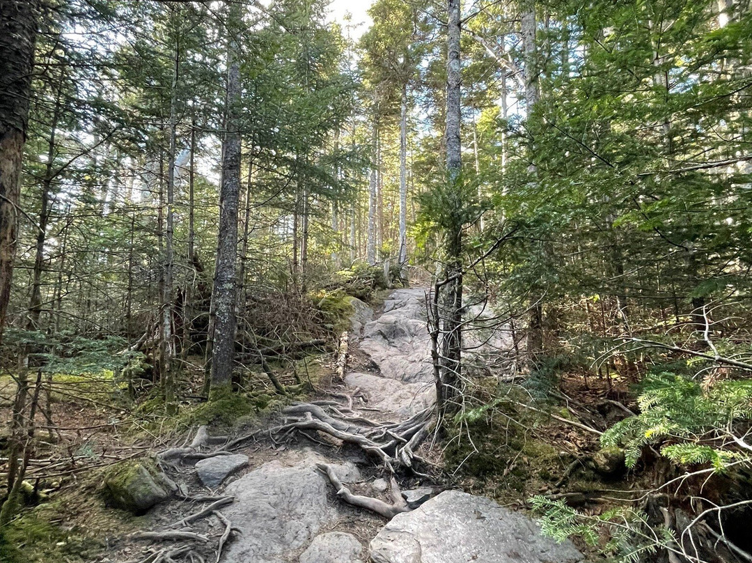 Stowe Pinnacle-斯托必去景点