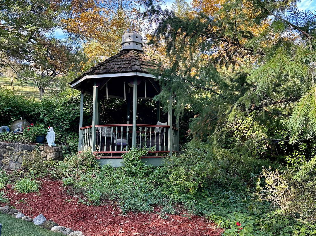 Potter's Foothill House B&B主图