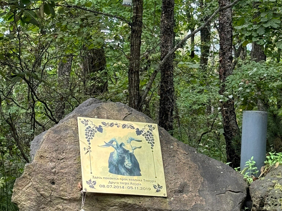 Primorskiy Safari Park-Shkotovo必去景点
