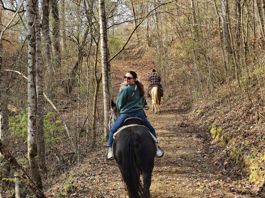 Smoky Mountain Deer Farm & Exotic Petting Zoo-塞维尔维尔必去景点