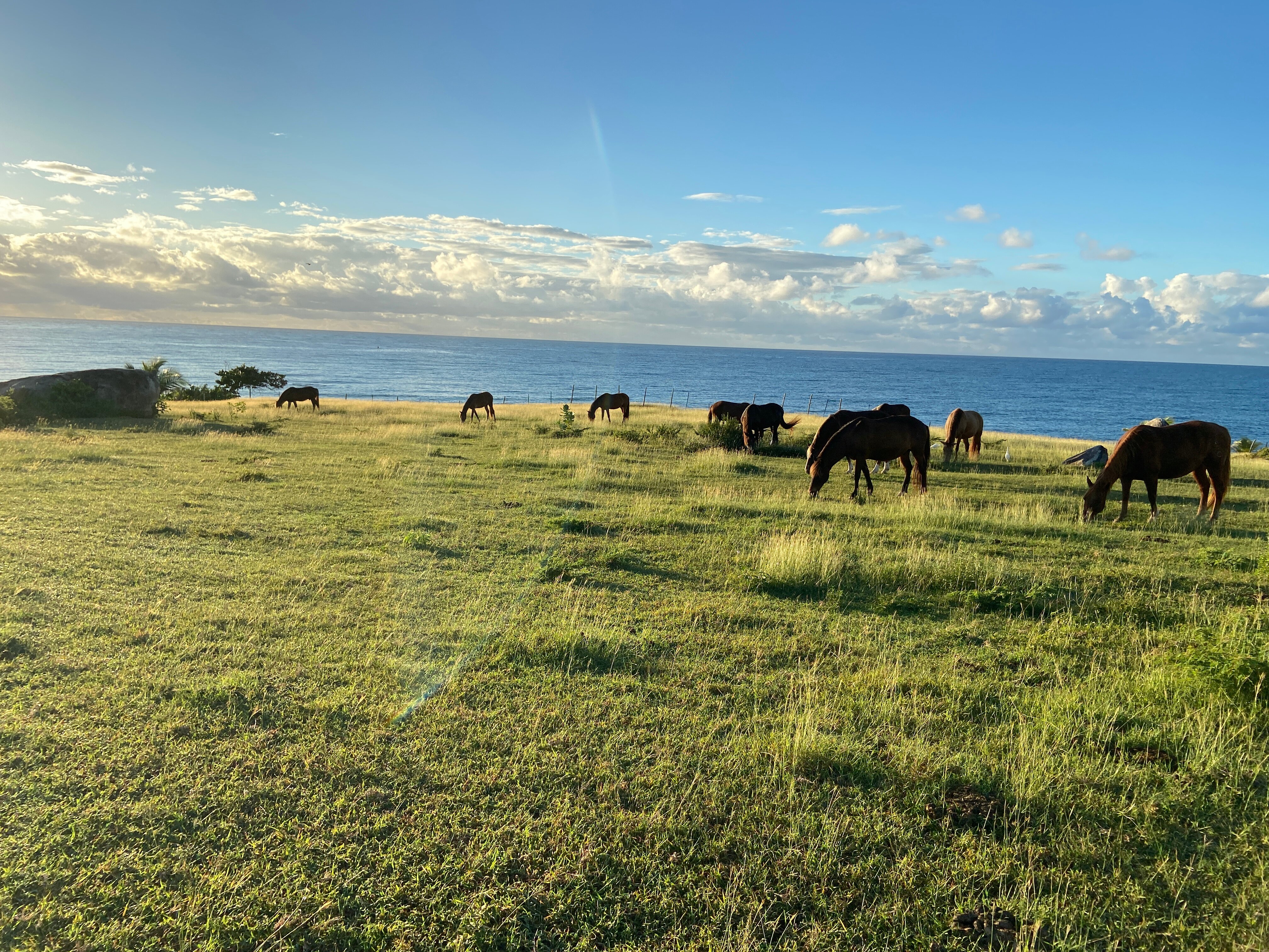 弗莱波扬旅馆-官方
