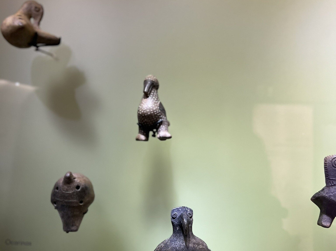 Museo del Oro Zenu-卡塔赫纳必去景点