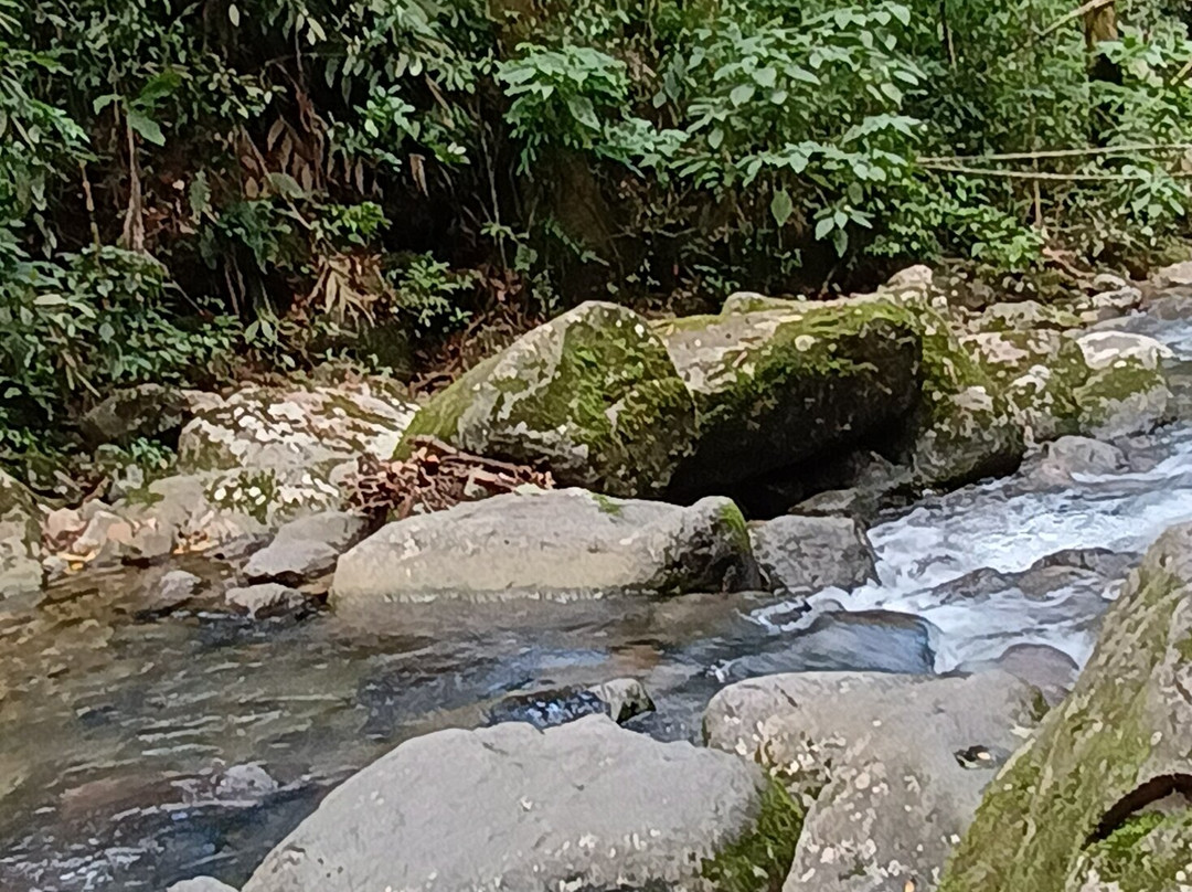 Tres Cachoeiras景点图片