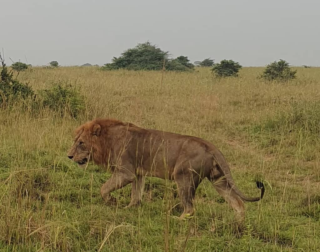 Kfir Adventures Ltd-马辛迪必去景点