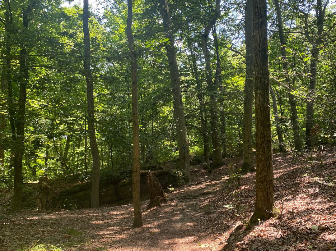 Nelson-Kennedy Ledges State Park-Nelson必去景点