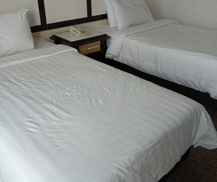 梳邦首脑酒店主图