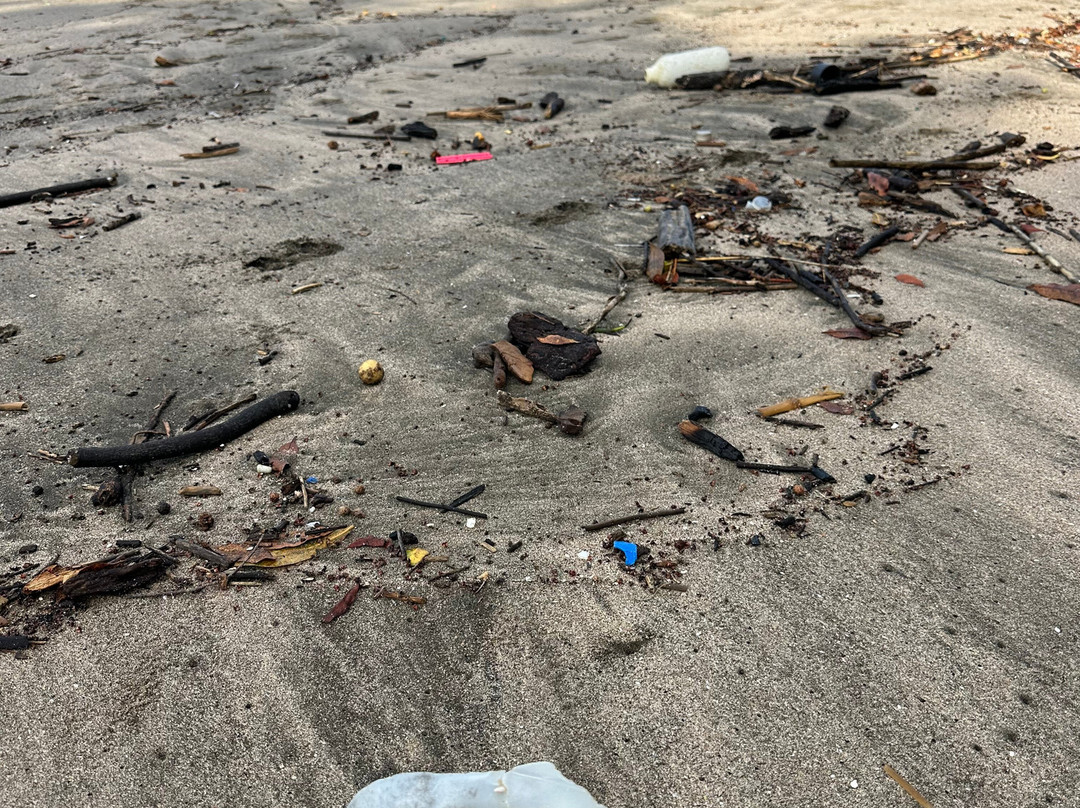 Playa Langosta景点图片