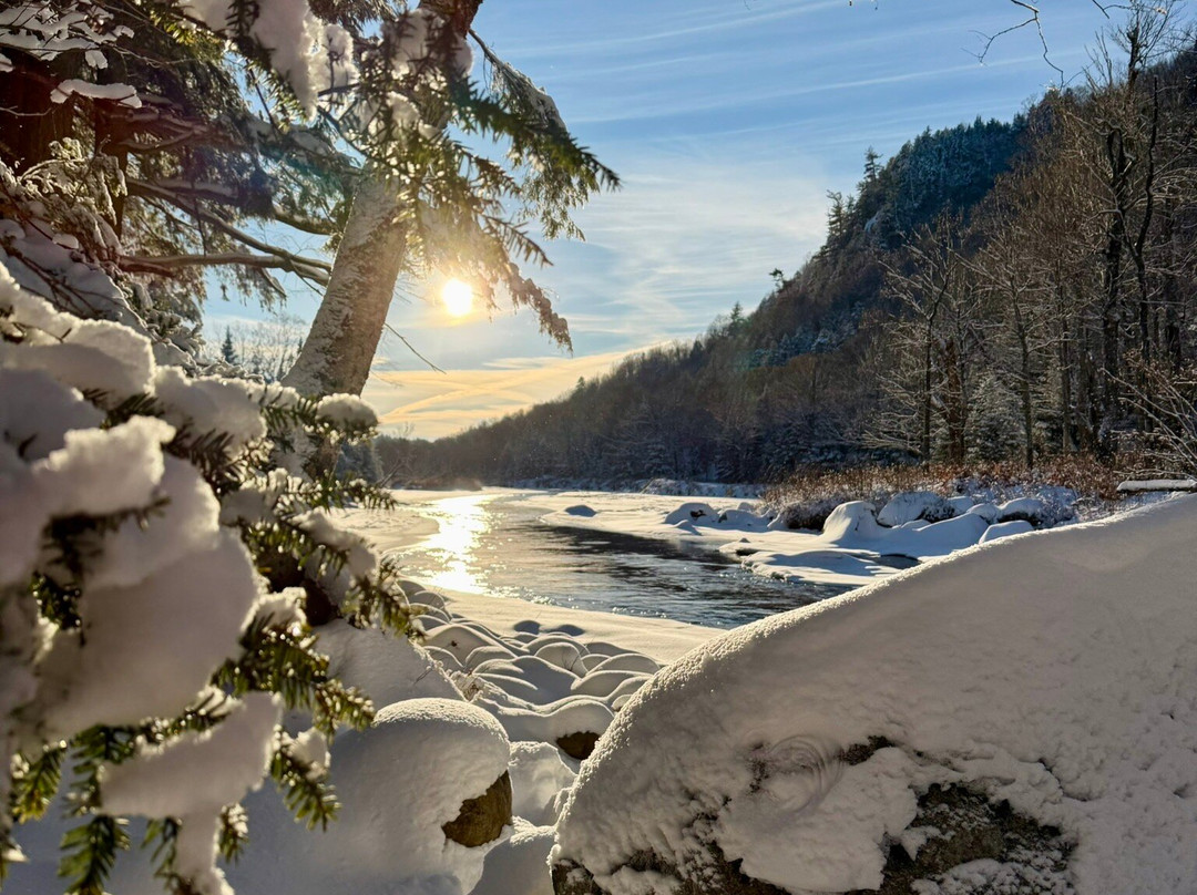 Whiteface Farm Adirondack Bed and Breakfast主图