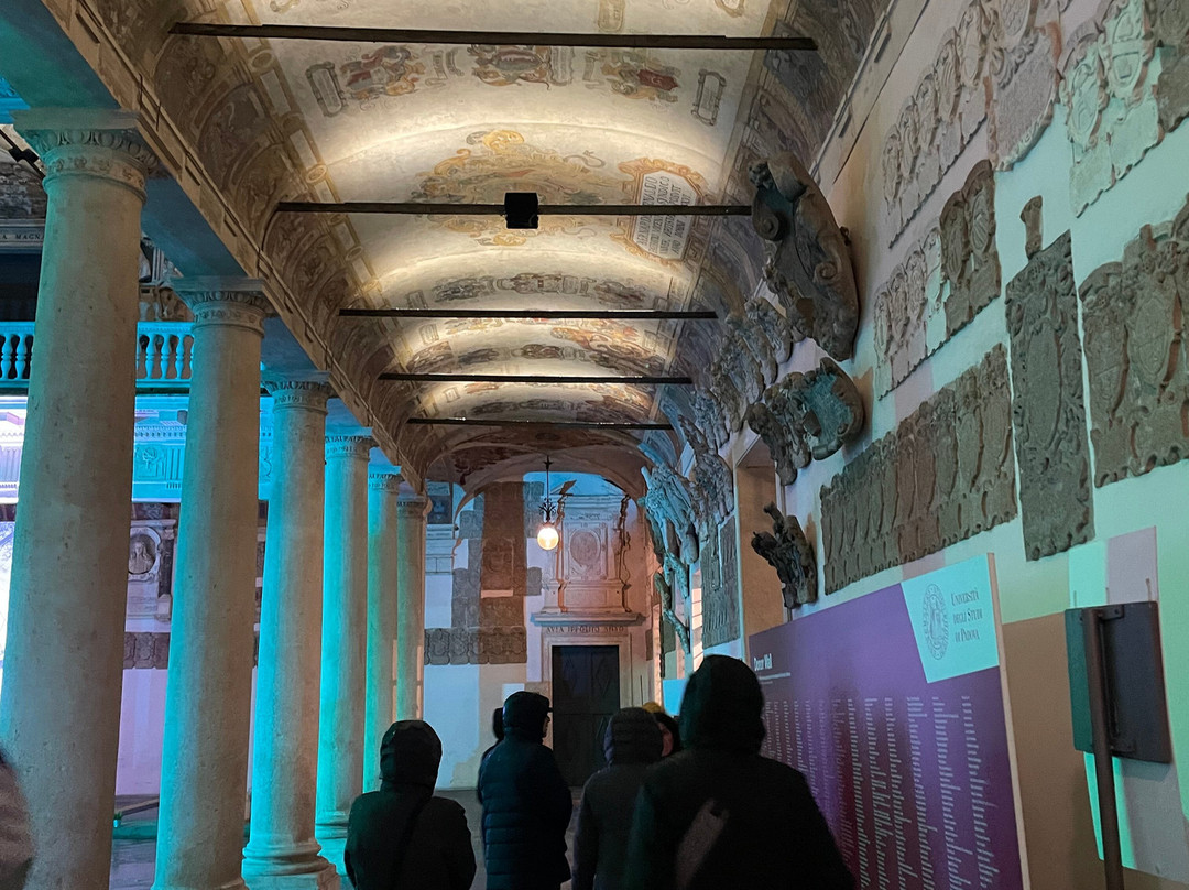 Venice Day Trips-帕多瓦必去景点
