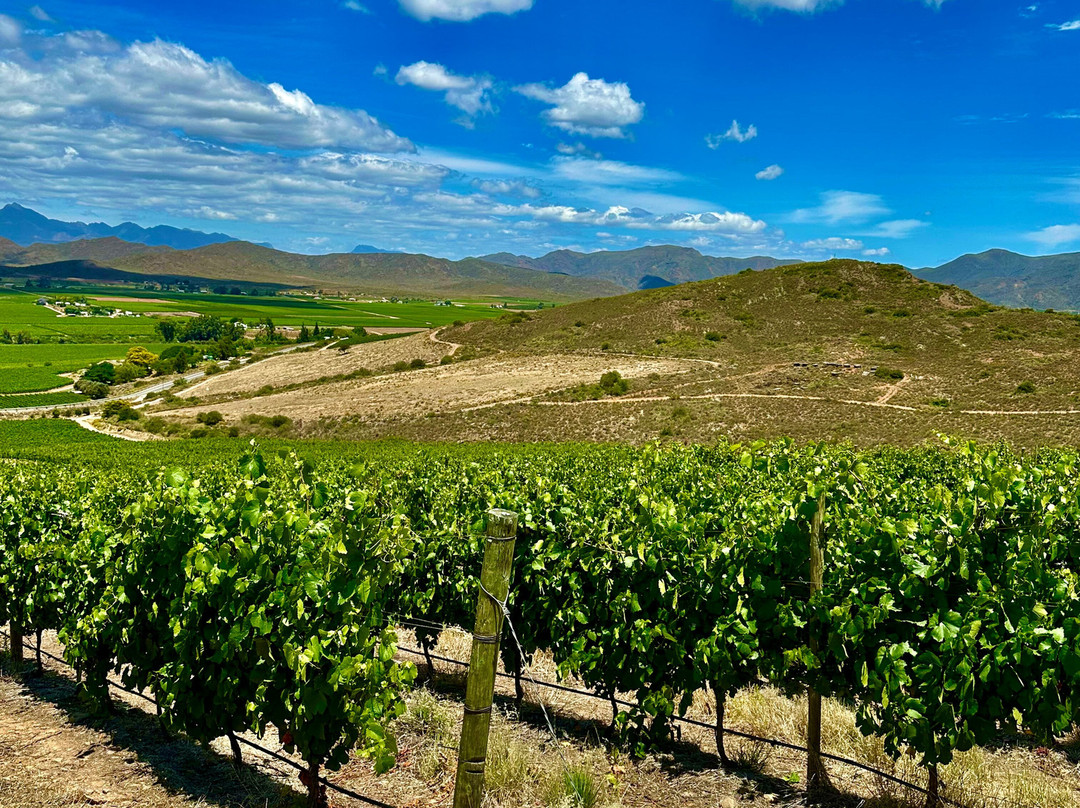 De Wetshof Estate-Robertson必去景点