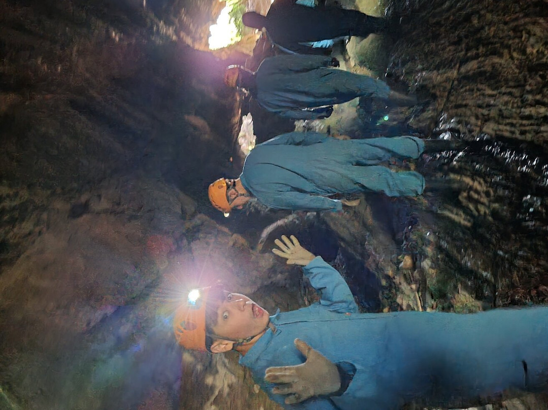 Wild Cave Tours-茉莉溪必去景点