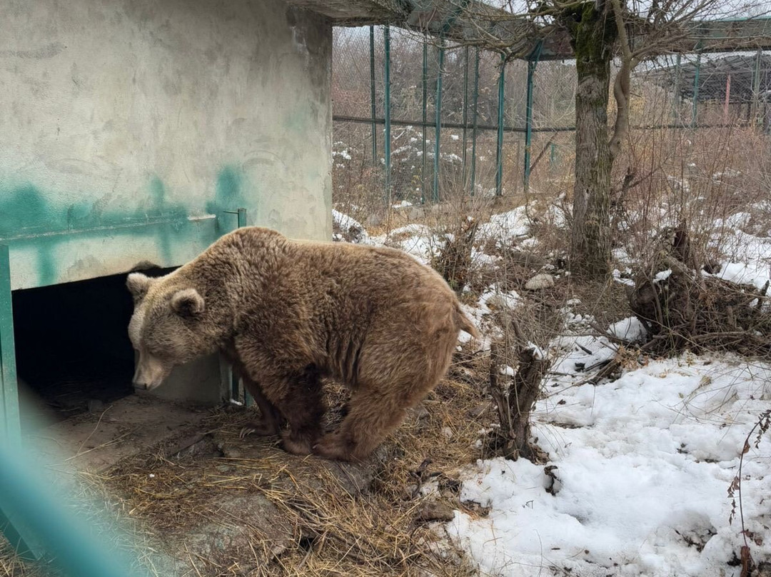 Dachigam Wildlife Sanctuary-斯利那加必去景点