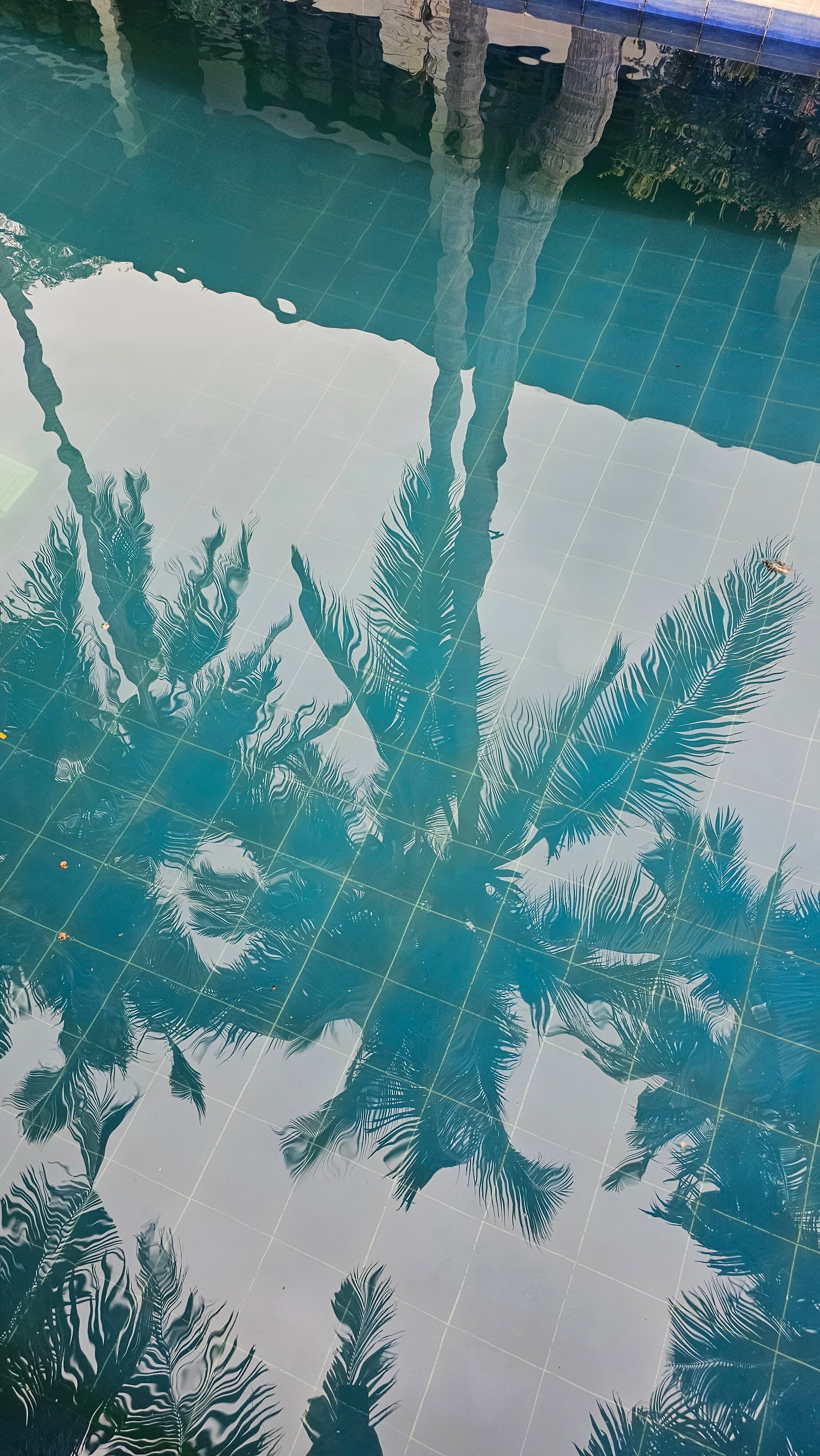 拉萨弗雷利度假酒店及Spa中心-泳池