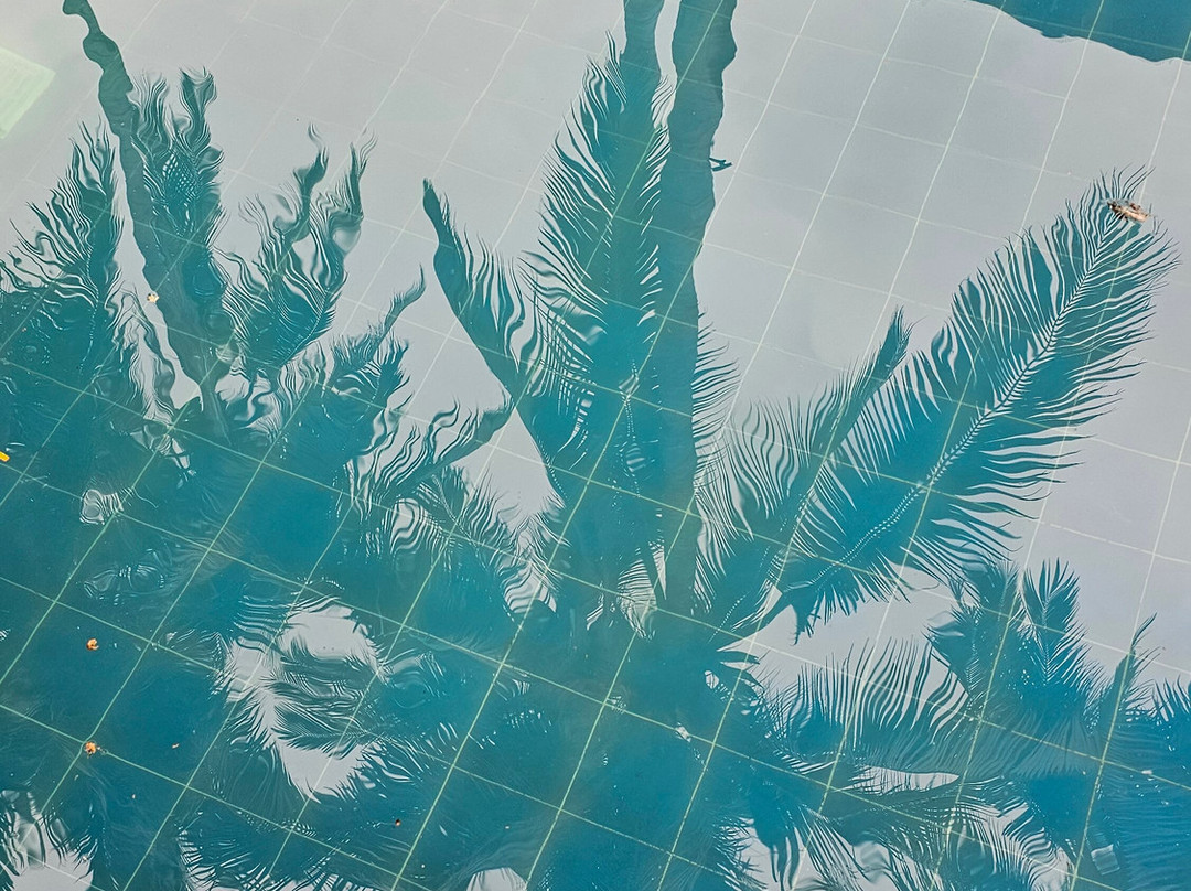 拉萨弗雷利度假酒店及Spa中心主图