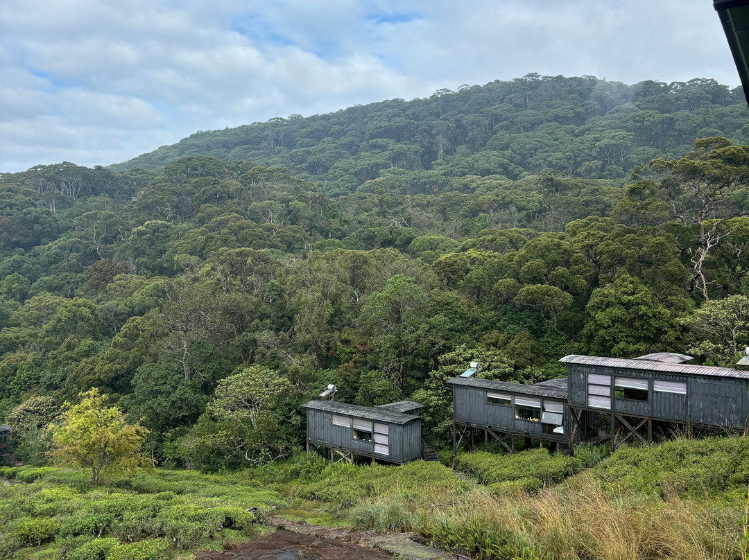 Rainforest Ecolodge主图