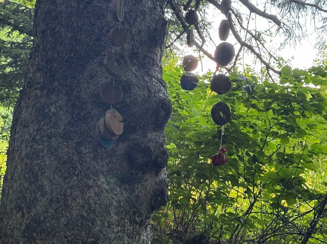 Hebergement aux Cinq Sens主图