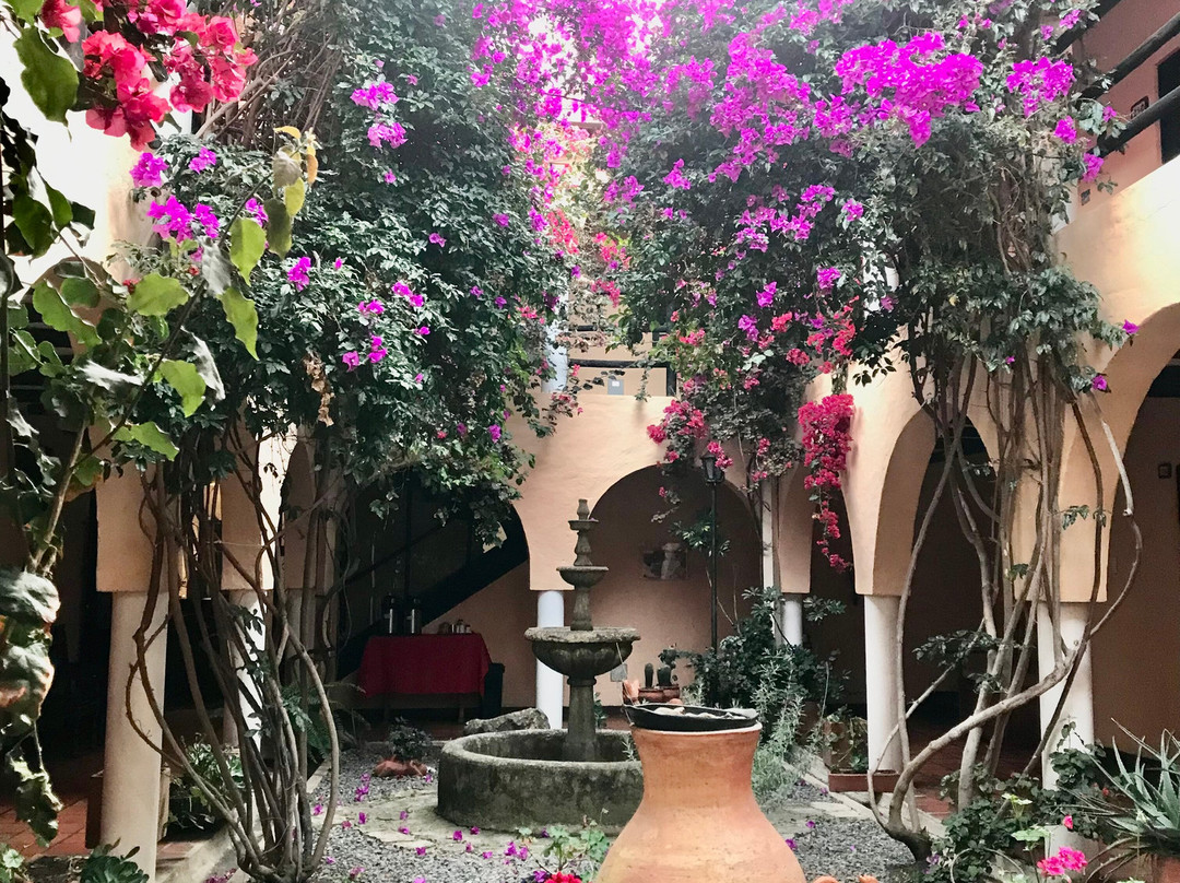 Hotel Termales El Batán主图