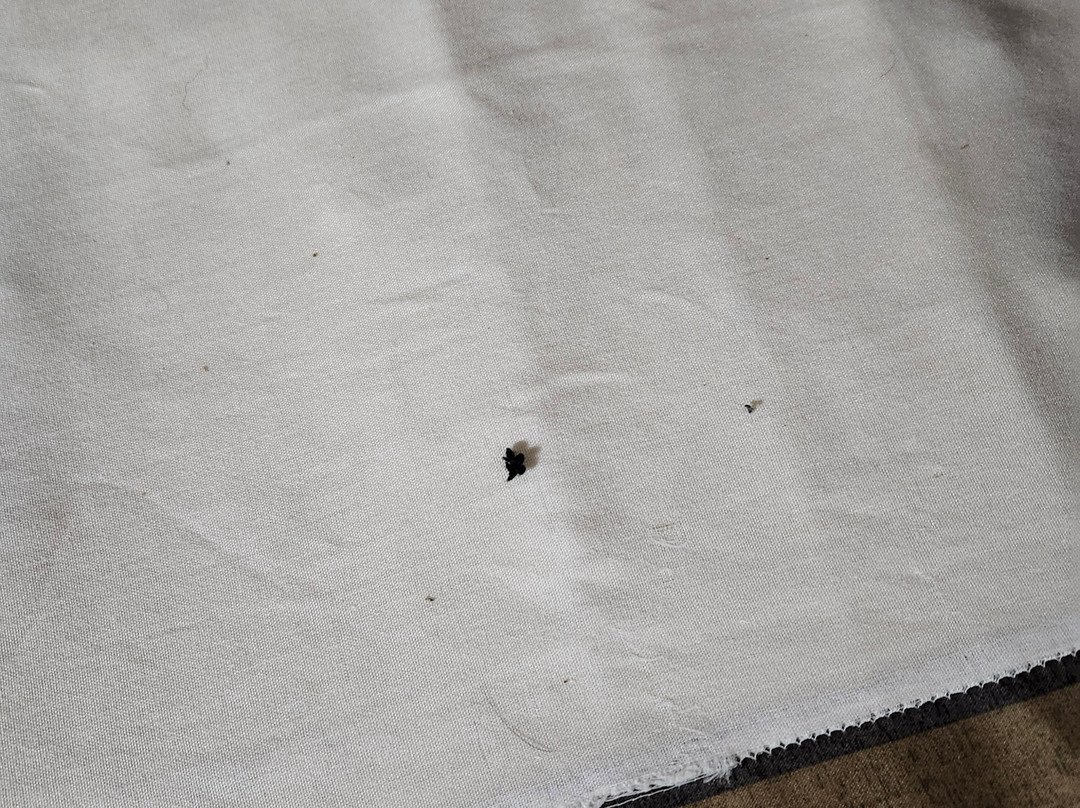 温德姆速8酒店奥马哈I-80西主图