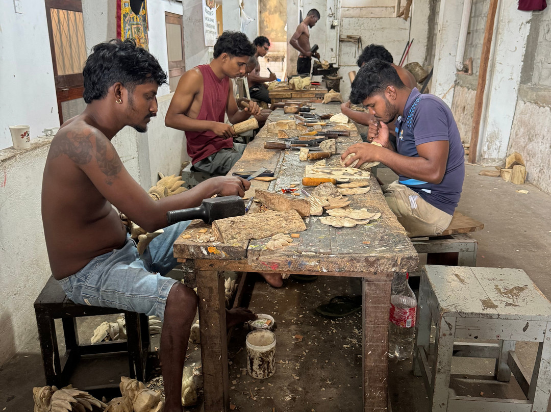 Visitare Lanka Tours景点图片