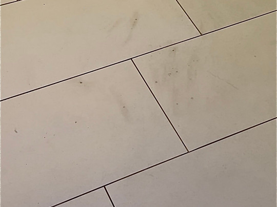 Renaissance Santo Domingo Jaragua Hotel & Casino主图