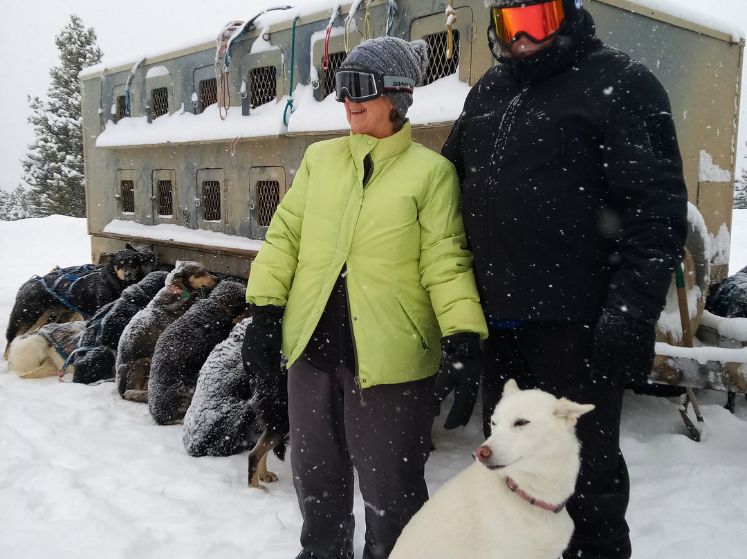 Spirit of the North Sled Dog Adventures景点图片