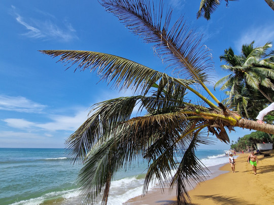 Ranga Tours Kalutara-卡卢特勒必去景点