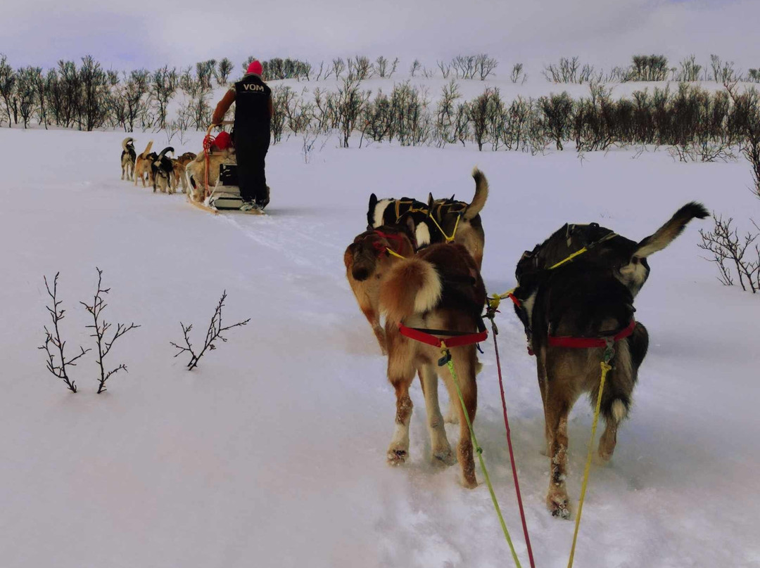 Seljeslett Gård-Russenes必去景点