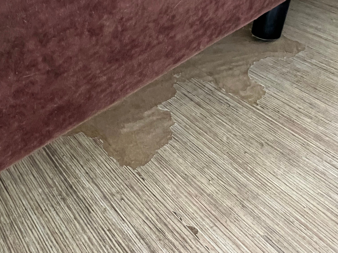 Sercotel Boulevard Vitoria主图