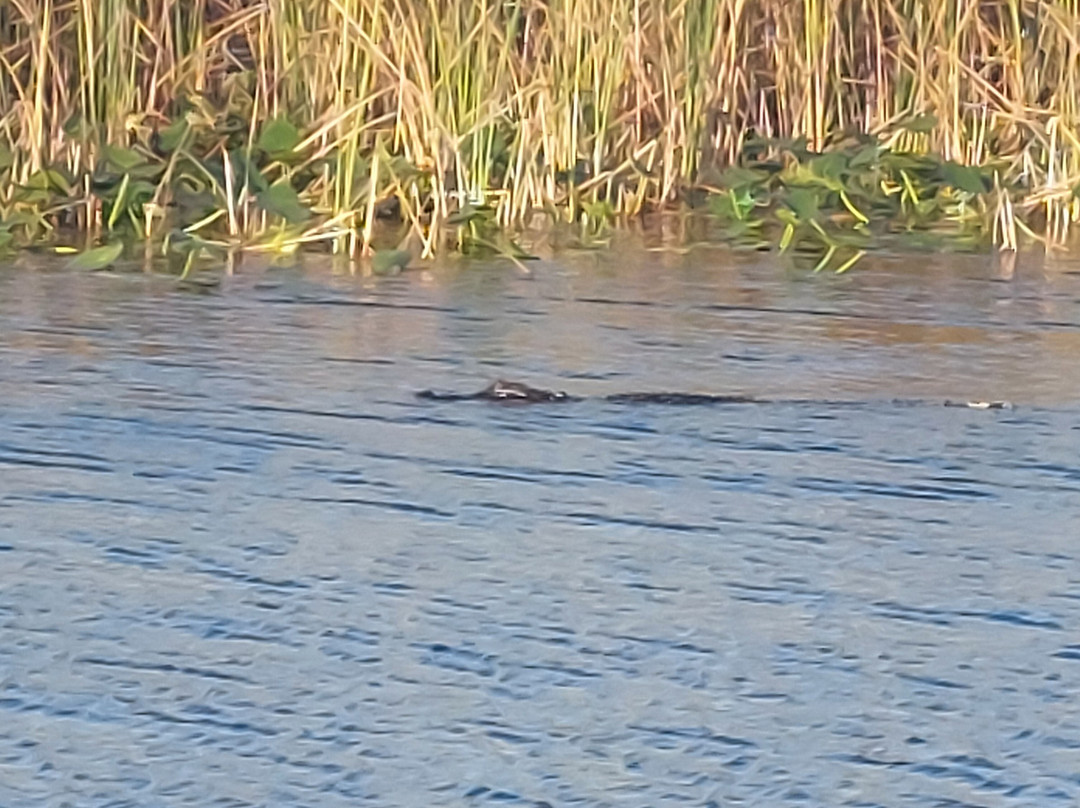 Sawgrass Trailhead At Atlantic Boulevard-Tamarac必去景点