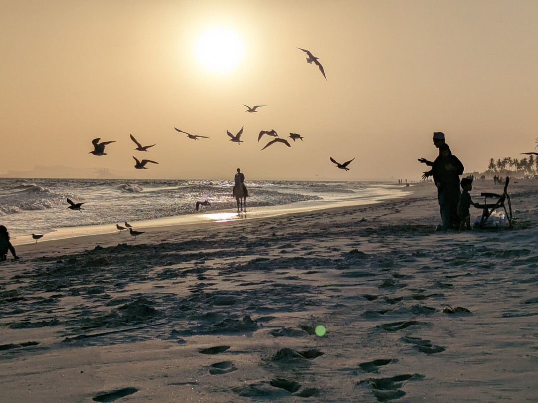 Uncle Said Salalah Tours-塞拉莱必去景点
