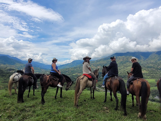 Casa de Monte-麦德林必去景点