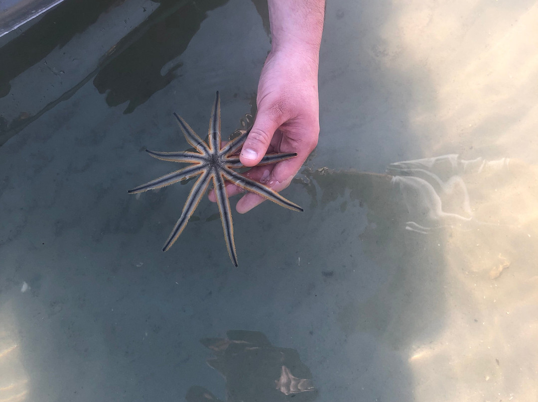 Get Up And Go Kayaking - Jupiter-朱庇特必去景点