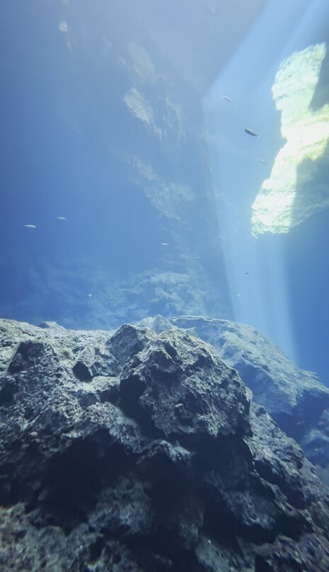 Chania Diving Center景点图片