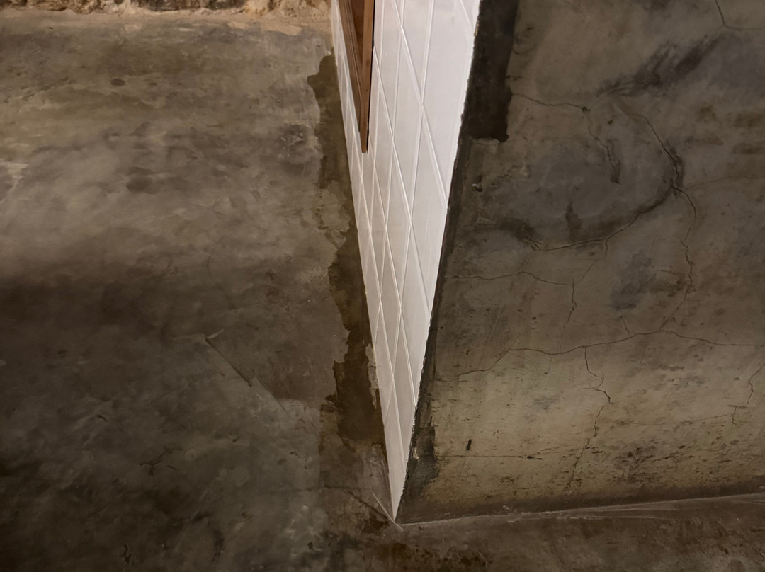 Hotel Casa Panama主图