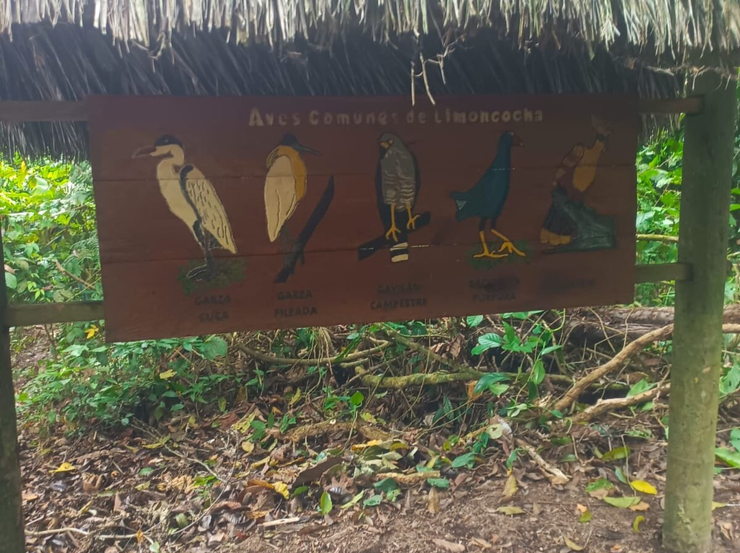 Limoncocha National Biological Reserve-Limoncocha必去景点