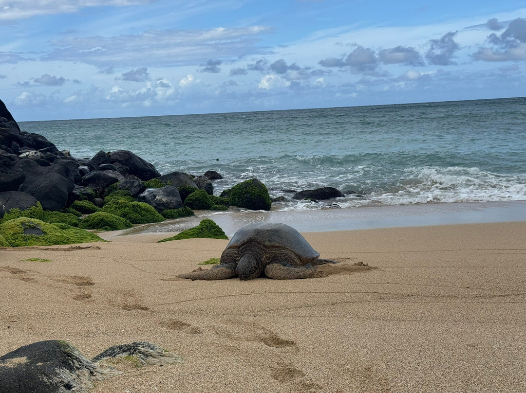 Secret Beach, Paia'a, Maui-芭雅必去景点