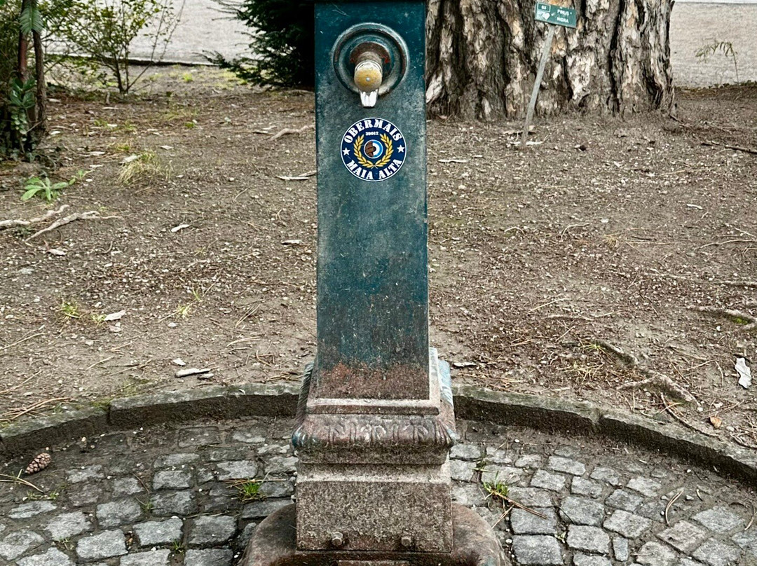 Monument of Empress Elisabeth (Sissi)景点图片